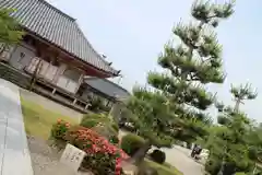 護国寺の建物その他