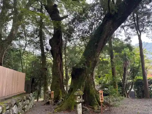 水屋神社(三重県)