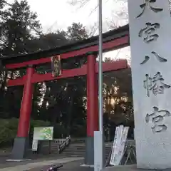 大宮八幡宮の鳥居