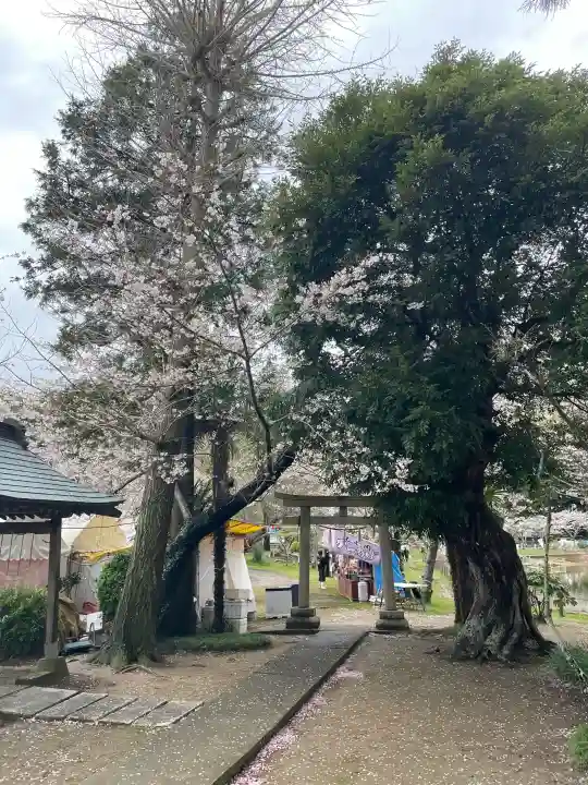 厳島神社 谷弁財天の{uncategorized: "未分類", other: "その他", undefined: "問題あり", building: "その他建物", grave: "お墓", sacred_gate: "鳥居", guardian: "狛犬", statue: "像", buddha: "仏像", history: "歴史", nature: "自然", garden: "庭園", animal: "動物", pagoda: "塔", temizu: "手水舎", mountain_gate: "山門・神門", sanctuary: "本殿・本堂", subordinate: "末社・摂社", art: "芸術", scenery: "景色", jizo: "地蔵", ema: "絵馬", goshuin: "御朱印", omikuji: "おみくじ", items: "授与品その他", amulet: "お守り", goshuincho: "御朱印帳", eats: "食事", festival: "お祭り", votive_dance: "神楽", shichigosan: "七五三参", wedding: "結婚式", experience: "体験その他", initially: "初詣", around: "周辺", anti_infection: "感染症対策"}