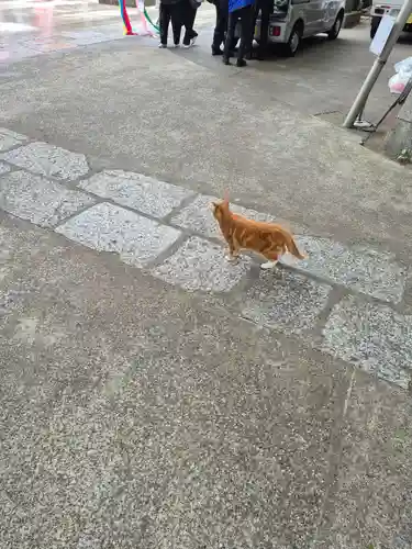 海南神社(神奈川県)