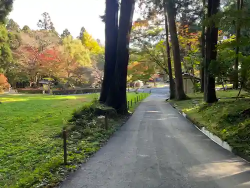 中尊寺の建物その他