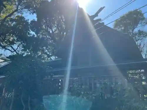 所澤神明社の本殿・本堂