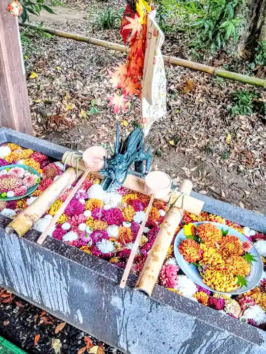 下野 星宮神社(栃木県)