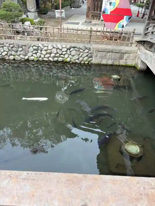 鑁阿寺(栃木県)