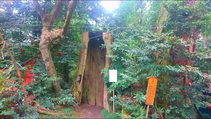 香取神宮の自然