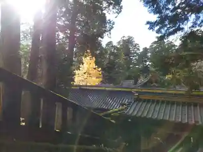 日光東照宮(栃木県)