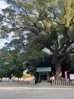 曽禰神社(大阪府)