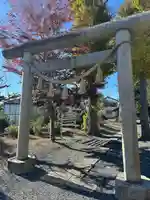 諏訪神社(千葉県)