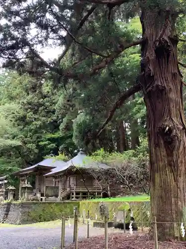 配志和神社の本殿