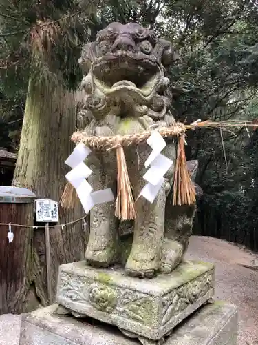 岡八幡宮の狛犬