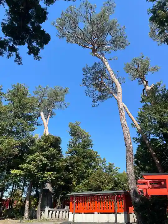 東伏見稲荷神社の{uncategorized: "未分類", other: "その他", undefined: "問題あり", building: "その他建物", grave: "お墓", sacred_gate: "鳥居", guardian: "狛犬", statue: "像", buddha: "仏像", history: "歴史", nature: "自然", garden: "庭園", animal: "動物", pagoda: "塔", temizu: "手水舎", mountain_gate: "山門・神門", sanctuary: "本殿・本堂", subordinate: "末社・摂社", art: "芸術", scenery: "景色", jizo: "地蔵", ema: "絵馬", goshuin: "御朱印", omikuji: "おみくじ", items: "授与品その他", amulet: "お守り", goshuincho: "御朱印帳", eats: "食事", festival: "お祭り", votive_dance: "神楽", shichigosan: "七五三参", wedding: "結婚式", experience: "体験その他", initially: "初詣", around: "周辺", anti_infection: "感染症対策"}