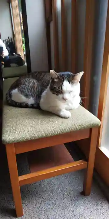 蔵前神社の動物