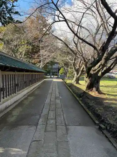 川津来宮神社の{uncategorized: "未分類", other: "その他", undefined: "問題あり", building: "その他建物", grave: "お墓", sacred_gate: "鳥居", guardian: "狛犬", statue: "像", buddha: "仏像", history: "歴史", nature: "自然", garden: "庭園", animal: "動物", pagoda: "塔", temizu: "手水舎", mountain_gate: "山門・神門", sanctuary: "本殿・本堂", subordinate: "末社・摂社", art: "芸術", scenery: "景色", jizo: "地蔵", ema: "絵馬", goshuin: "御朱印", omikuji: "おみくじ", items: "授与品その他", amulet: "お守り", goshuincho: "御朱印帳", eats: "食事", festival: "お祭り", votive_dance: "神楽", shichigosan: "七五三参", wedding: "結婚式", experience: "体験その他", initially: "初詣", around: "周辺", anti_infection: "感染症対策"}