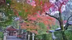 大田神社（賀茂別雷神社境外摂社）の建物その他