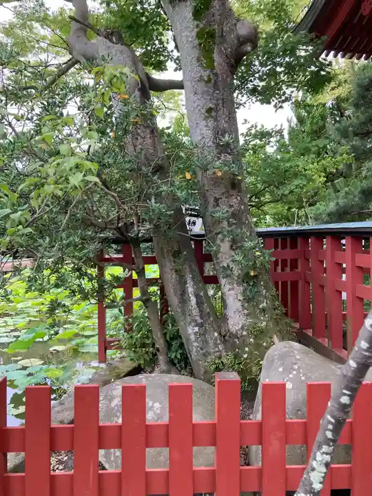 旗上弁財天社の自然