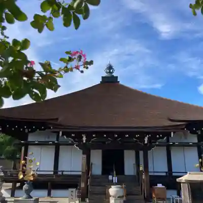 仁和寺の本殿・本堂