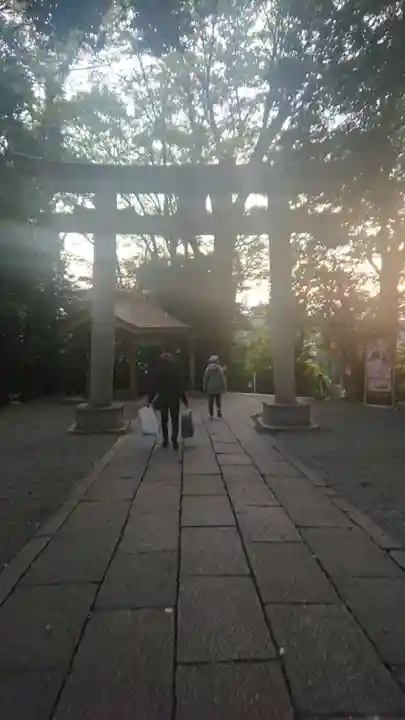 谷保天満宮の鳥居