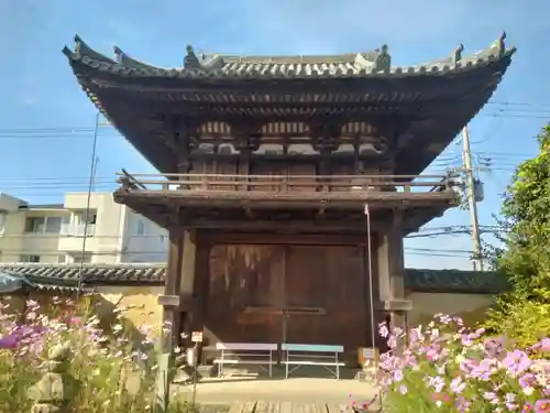 般若寺 ❁﻿コスモス寺❁(奈良県)