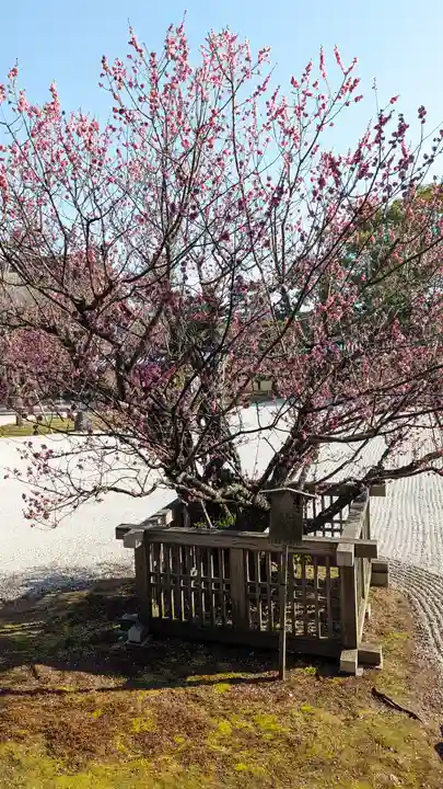 大覚寺(京都府)