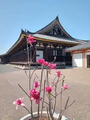 蓮華王院（三十三間堂）(京都府)