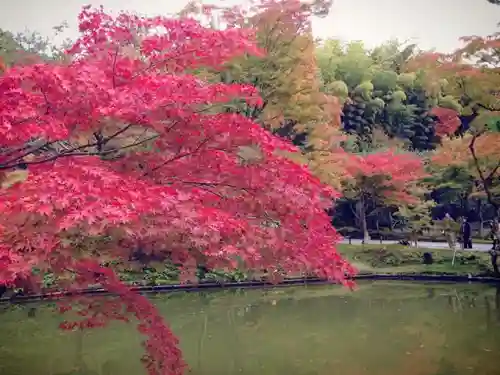 高台寺（高台寿聖禅寺・高臺寺）の庭園