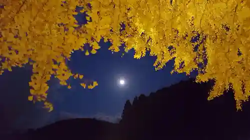 丹生酒殿神社の自然