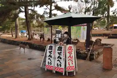 東大寺(奈良県)