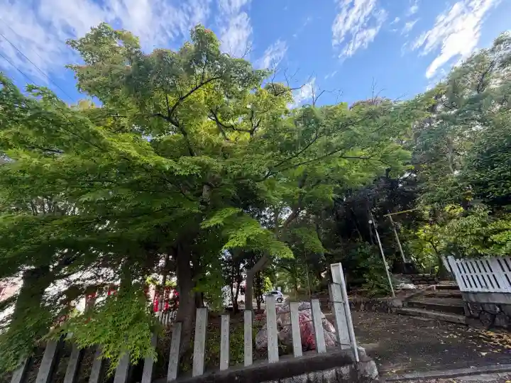 七所神社の{uncategorized: "未分類", other: "その他", undefined: "問題あり", building: "その他建物", grave: "お墓", sacred_gate: "鳥居", guardian: "狛犬", statue: "像", buddha: "仏像", history: "歴史", nature: "自然", garden: "庭園", animal: "動物", pagoda: "塔", temizu: "手水舎", mountain_gate: "山門・神門", sanctuary: "本殿・本堂", subordinate: "末社・摂社", art: "芸術", scenery: "景色", jizo: "地蔵", ema: "絵馬", goshuin: "御朱印", omikuji: "おみくじ", items: "授与品その他", amulet: "お守り", goshuincho: "御朱印帳", eats: "食事", festival: "お祭り", votive_dance: "神楽", shichigosan: "七五三参", wedding: "結婚式", experience: "体験その他", initially: "初詣", around: "周辺", anti_infection: "感染症対策"}