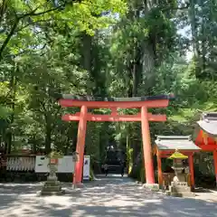 箱根神社の鳥居