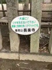 長楽寺の建物その他