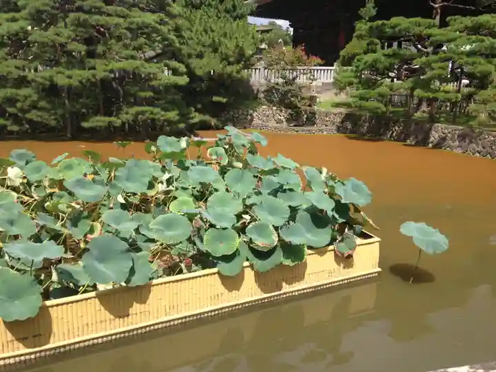 善光寺(長野県)