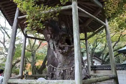 根香寺の建物その他