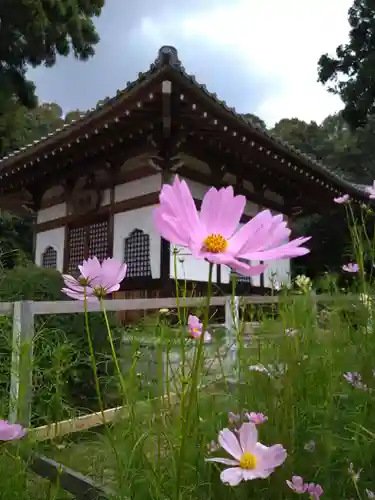 安倍文殊院 (奈良県)