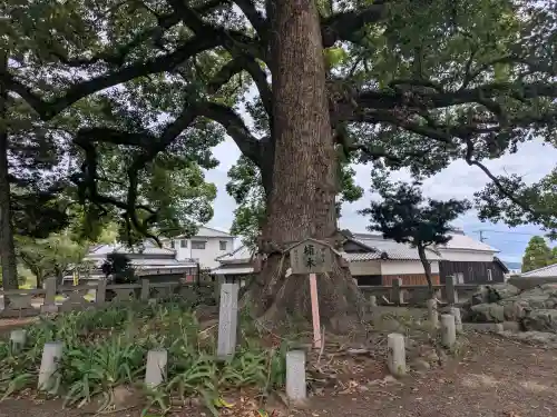 白峰宮(香川県)