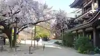 東長寺の自然