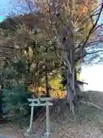 子安神社(千葉県)