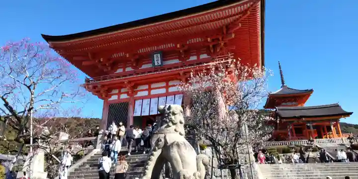 清水寺(京都府)