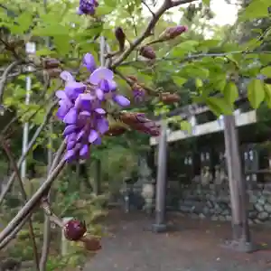 岐阜稲荷山本社(岐阜県)(2023年04月11日(火) 12時32分40秒投稿)