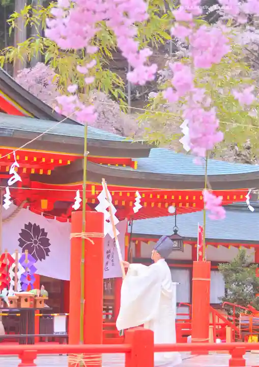 金櫻神社(山梨県)