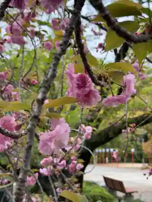 石清水八幡宮の{uncategorized: "未分類", other: "その他", undefined: "問題あり", building: "その他建物", grave: "お墓", sacred_gate: "鳥居", guardian: "狛犬", statue: "像", buddha: "仏像", history: "歴史", nature: "自然", garden: "庭園", animal: "動物", pagoda: "塔", temizu: "手水舎", mountain_gate: "山門・神門", sanctuary: "本殿・本堂", subordinate: "末社・摂社", art: "芸術", scenery: "景色", jizo: "地蔵", ema: "絵馬", goshuin: "御朱印", omikuji: "おみくじ", items: "授与品その他", amulet: "お守り", goshuincho: "御朱印帳", eats: "食事", festival: "お祭り", votive_dance: "神楽", shichigosan: "七五三参", wedding: "結婚式", experience: "体験その他", initially: "初詣", around: "周辺", anti_infection: "感染症対策"}