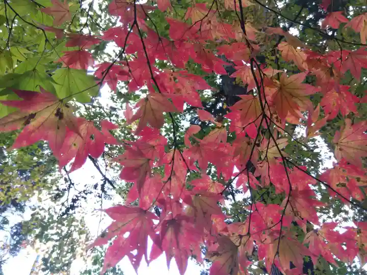 貴船神社(福井県)