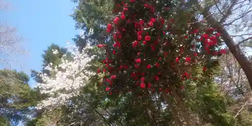 淡墨観音(岐阜県)