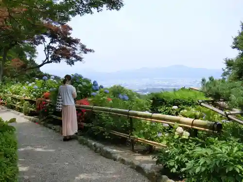 善峯寺の景色