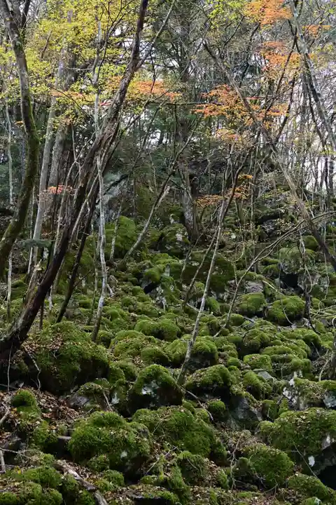 黒松寺(徳島県)
