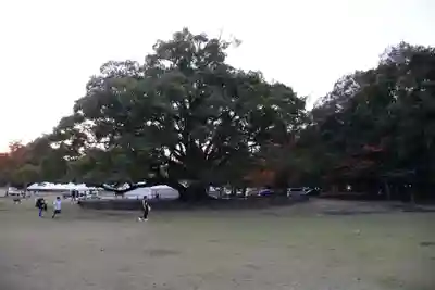 春日大社(奈良県)