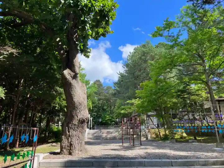 上川神社の自然