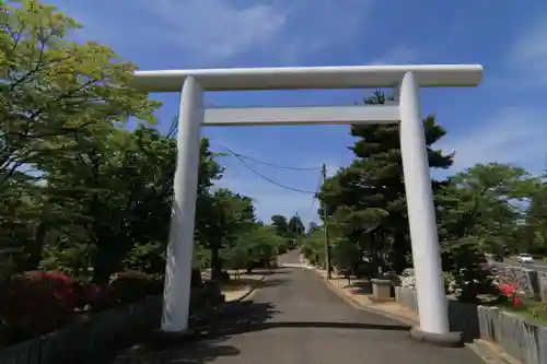 開成山大神宮の鳥居