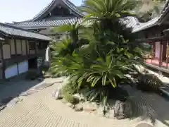 根来寺(和歌山県)