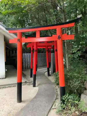 芦屋神社(兵庫県)